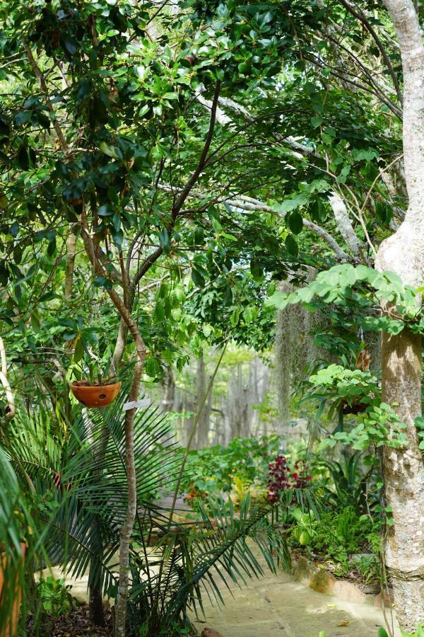 El Paraiso Posada Finca San Vicente Barichara Eksteriør bilde